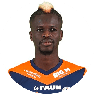 فلاي ساكو