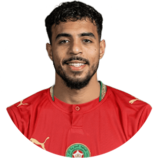 شادي رياض